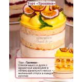 Курс Открытые вау-торты за 1 час (Надежда Коломейцева)