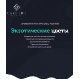 [Cake pro] Онлайн-курс "Экзотические цветы" (Елена Решетняк)
