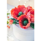 Весенний курс. Тариф - Продвинутый (Екатерина Завирюха)