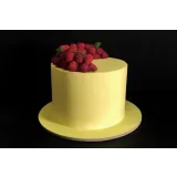 Торт "Фисташковый пломбир-малина" (Елена Радова)