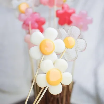 Вебинар «Все секреты леденцов» (Виктория Бредис)