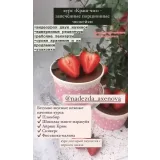 Краш-чизкейк (Надежда Аксенова)