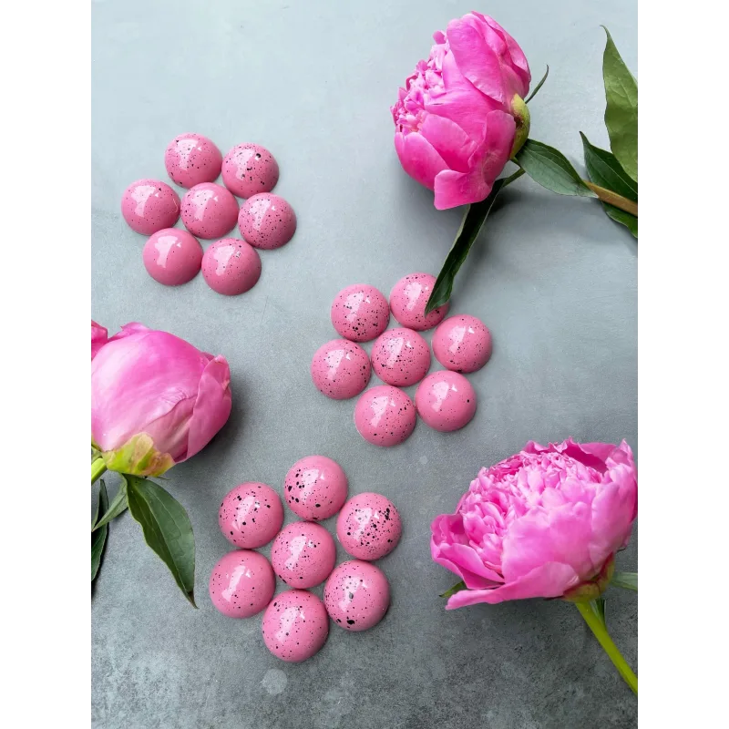 Курс о корпусных шоколадных конфетах (chocolat_jasmin)