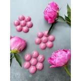 Курс о корпусных шоколадных конфетах (chocolat_jasmin)