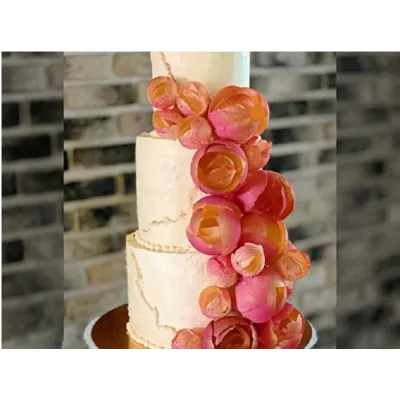 Курс "Свадебный многоярусный торт" (Татьяна Шкода)