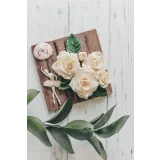 Весенний курс. Тариф - Продвинутый (Екатерина Завирюха)