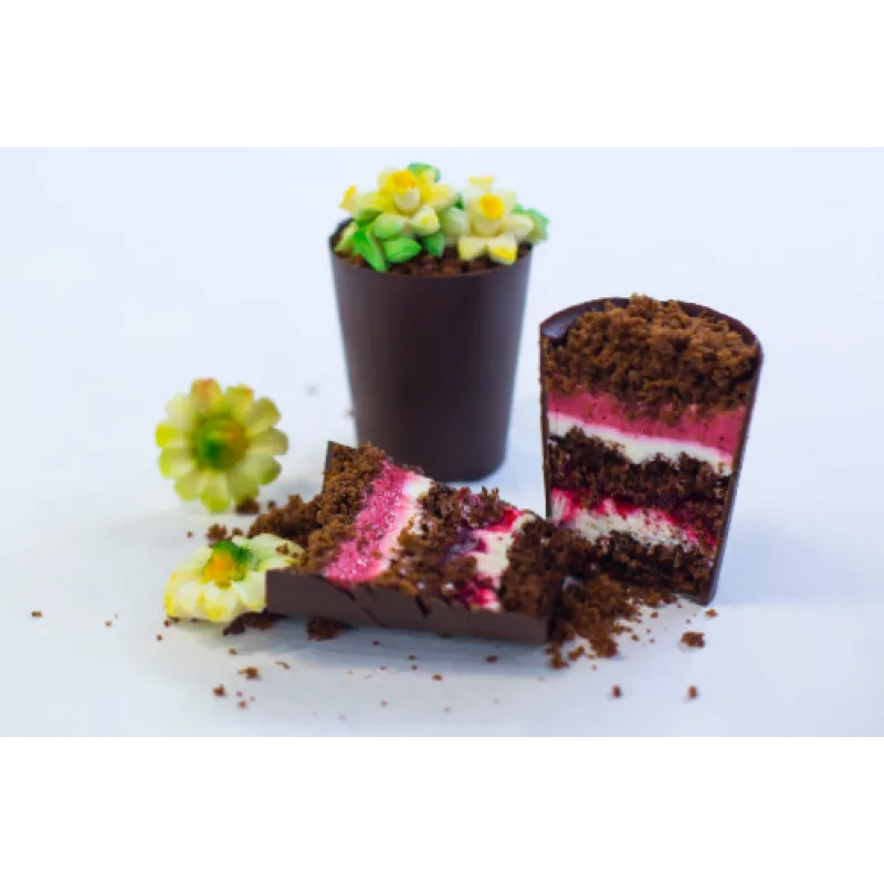 Курс по бисквитным тортам «Кондитер-эксперт» (Оксана Лобачева)