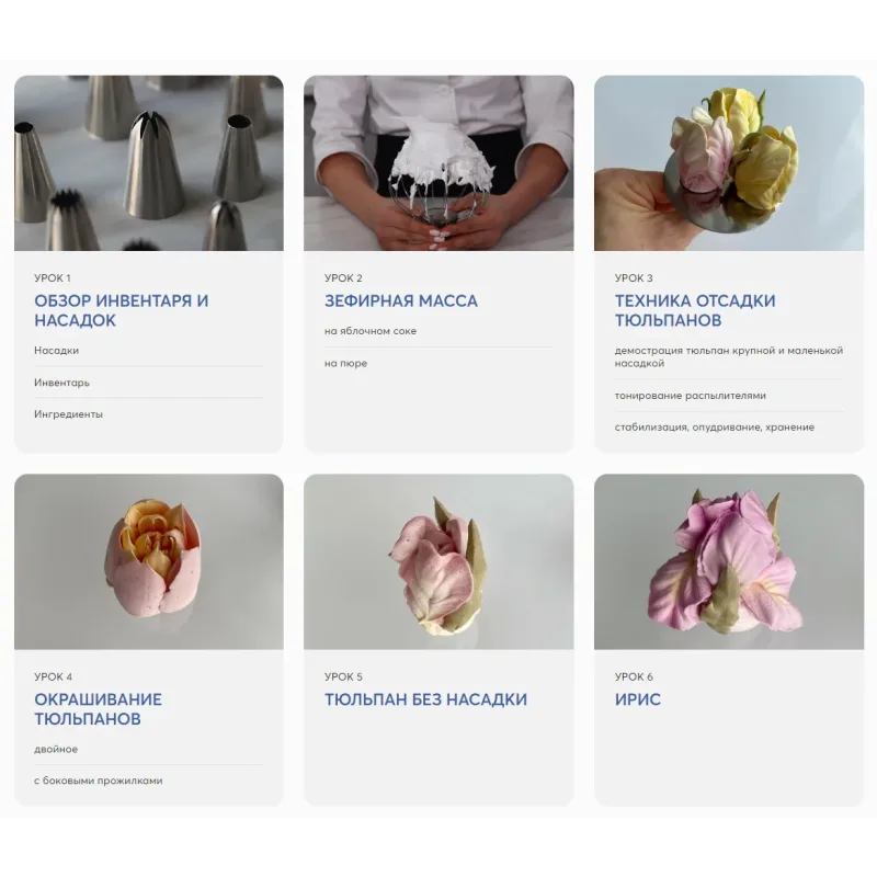 [Pauline School] Зефирные тюльпаны (Елена Туганова)