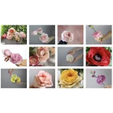 Сборник "Цветы из пластичного шоколада" (Даяна Лус)