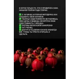 Курс КартоФАН (Ольга Маличава)