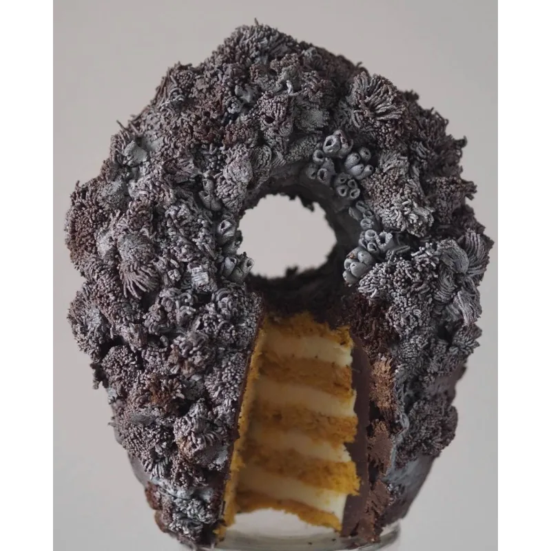 Вебинар "Шоколадные текстуры" (Lyubov Ki, cakeit_nsk)