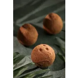 Онлайн-Курс по Корпусным пирожным "FlavorSculpt" (natashaladka)