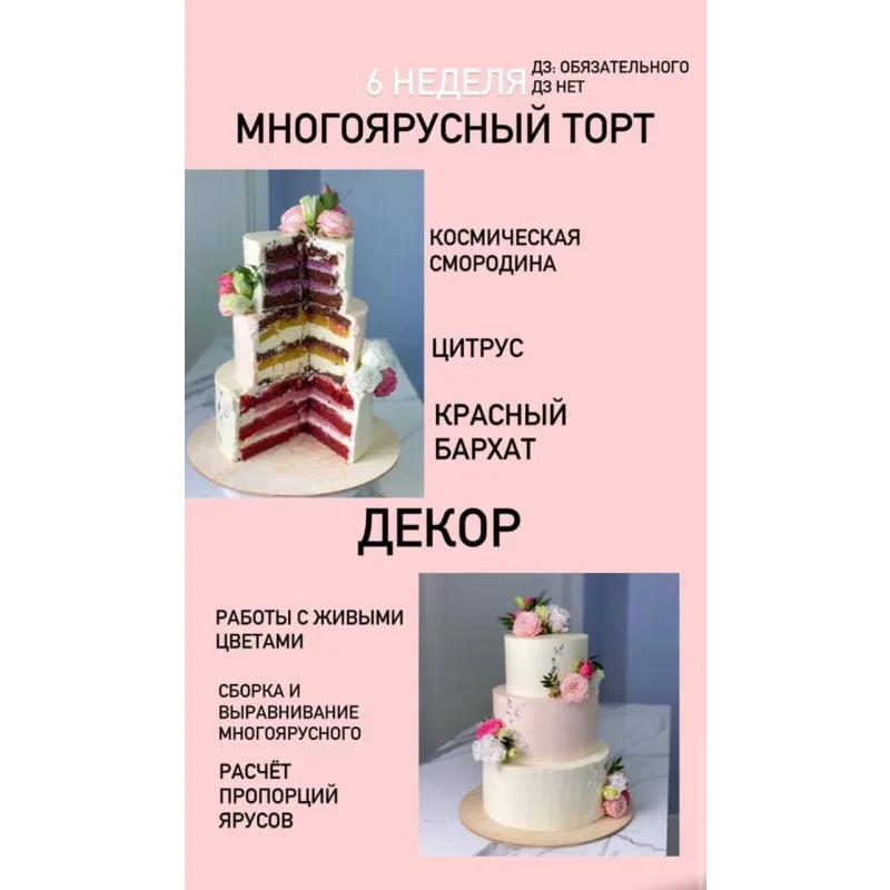 Курс "От новичка до профи". Версия VIP. (Ольга Шмукста)