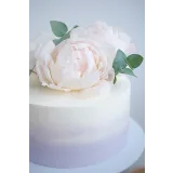 Обучение по приготовлению бисквитных тортов (Александра Сенина, shunichka)