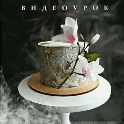 Видеоурок "Текстуры" (Наринэ Шахраманян)