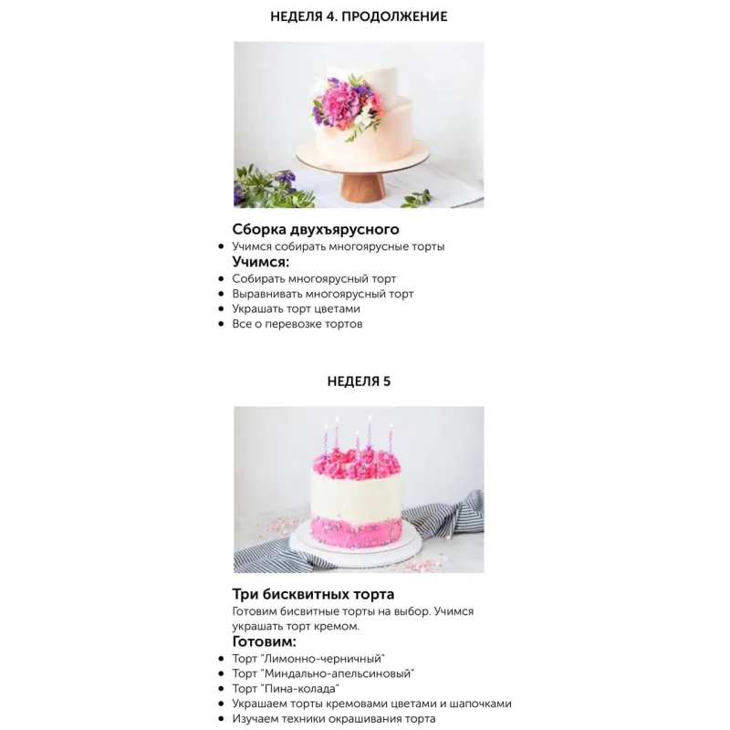 Базовый кондитерский курс (Ольга Шлычкова)