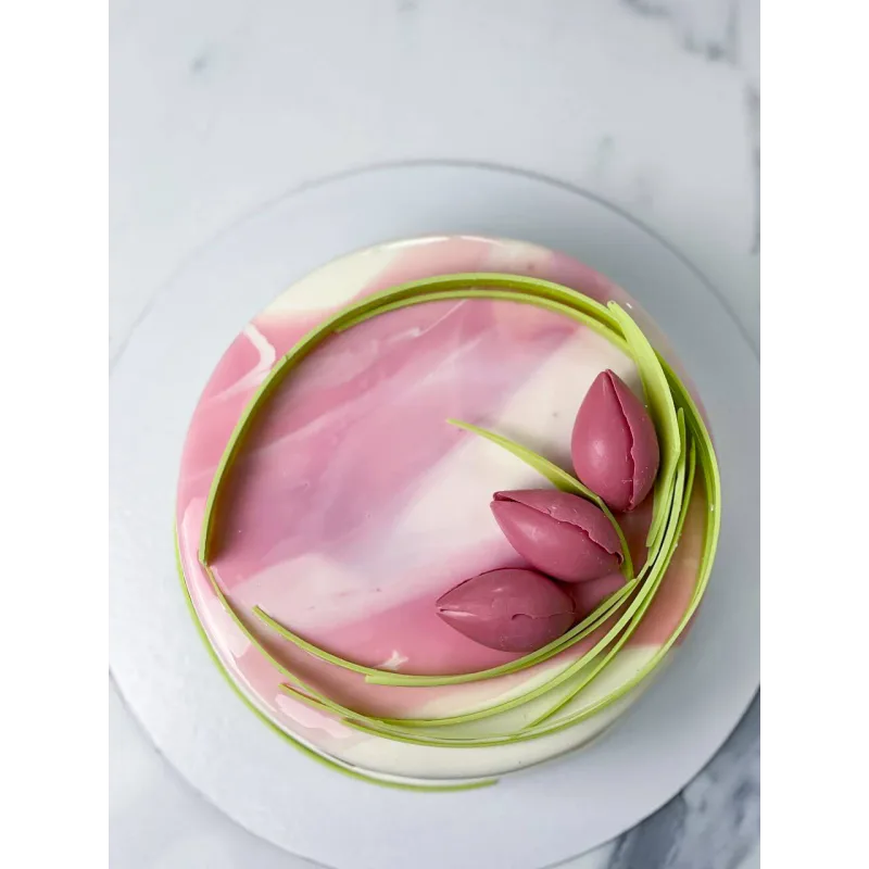 Курс по муссовым тортам и нарезным пирожным (Ольга Шмукста)