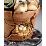 Торт в виде горшка (MARIA MAGRAT, mrs.magrat)