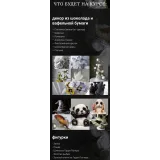 Декор для тортов (Елена Гнут)