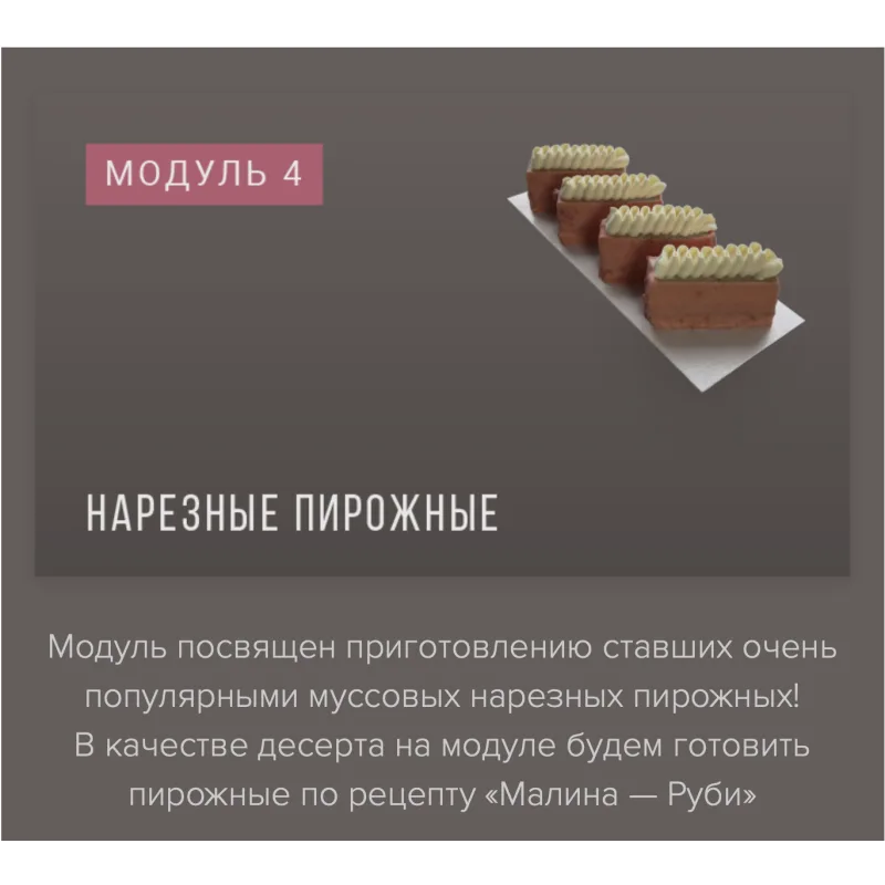 Курс «Муссовые пирожные и торты фантазийных форм» (Ираида Корягина)