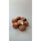 [bergamot_ii] Сборник 9 начинок моти  (Екатерина Леонова)