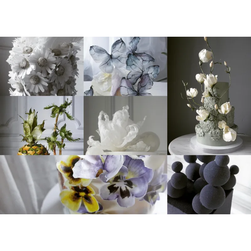 Старинная книга (Елена Гнут)