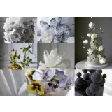 Старинная книга (Елена Гнут)