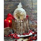 Сборник видеоуроков "30 медовиков" (gift_cookies)