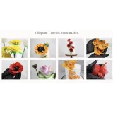 Сборник "Цветы из пластичного шоколада" (Даяна Лус)