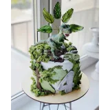 Детские торты. тариф «Декор+Рецепты» (Ольга Куликова)