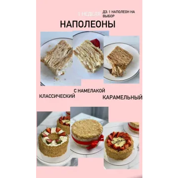 Курс "От новичка до профи". Версия VIP. (Ольга Шмукста)