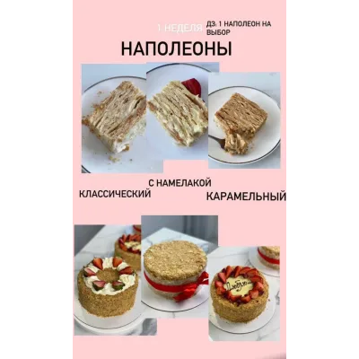 Курс "От новичка до профи". Версия VIP. (Ольга Шмукста)