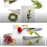 Видео-курс "Цветы из шоколада". Тариф "Только шоколад" (Ксения Панько)