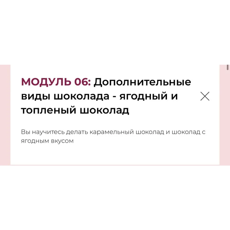 Курс Кондитер-шоколатье (Олеся Нежикова)