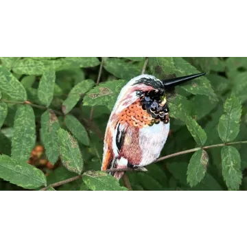 Курс по вышивке броши «Колибри» [tvoristudio]