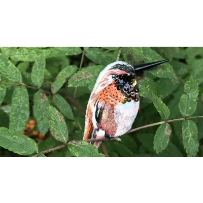 Курс по вышивке броши «Колибри» [tvoristudio]