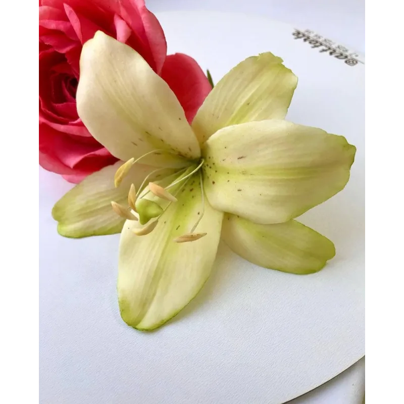 Шокофлористика. Тариф «Хочу максимум» (Art.torte)