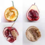 Рождественский экстерн-курс по корпусным пирожным (Ксения Хохлова) @ks_candymom