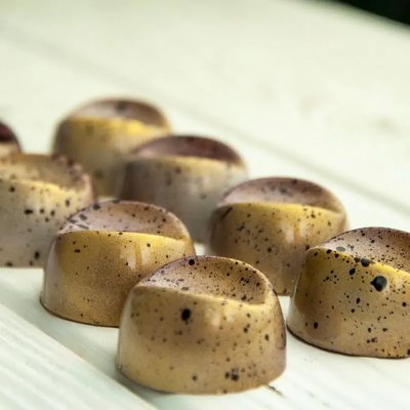 Начинающий шоколатье (Полина Филимонова, Pauline School)