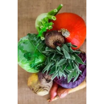 [Пракукинг] Правильный год (Ольга Шенкерман)