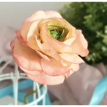 [Где торт?] Вафельный Ранункулюс (Евгения Бочарова)