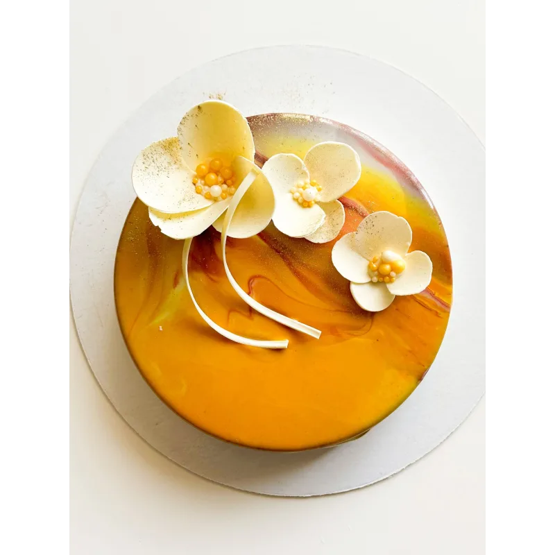 Курс «Муссовые десерты: С 0 до Профи». Тариф «Премиум» (Кристина шумская)