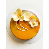 Курс «Муссовые десерты: С 0 до Профи». Тариф «Премиум» (Кристина шумская)