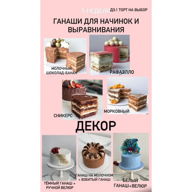 Курс "От новичка до профи". Версия VIP. (Ольга Шмукста)