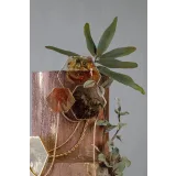 Курс "Текстуры" (Инна Питерова)