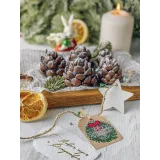 Новогодний курс (Екатерина Завирюха)