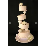 Мой первый свадебный сезон (Татьяна Шкода)