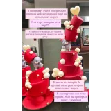 Антигравитационные торты. Тариф - Мастер антигравитации (Евгения Волошина)