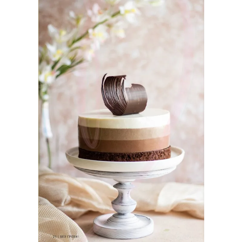 ПП Без стыда и совести (Алена Коготкова)