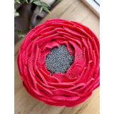 Курс по муссовым тортам. Тариф Расширенный (Александра Шинкаренко) @ex_pastry_cook